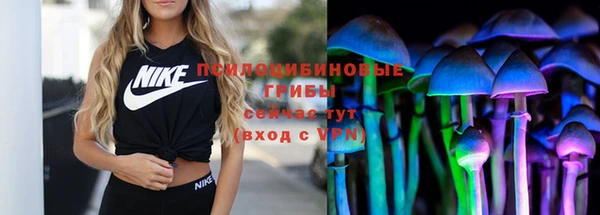 винт Богданович