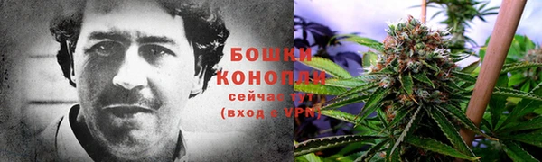 MESCALINE Богородицк