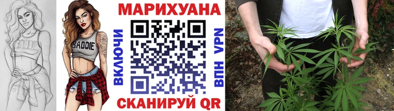 Бошки марихуана план Высоцк